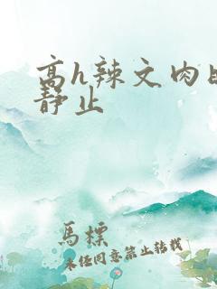 高h辣文肉时间静止