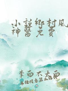 小说乡村风流小神医免费