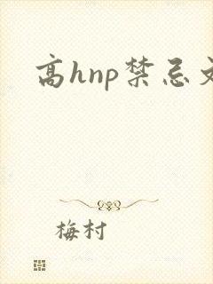 高hnp禁忌文