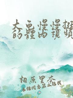 大龟慢慢挺进我的体内视频