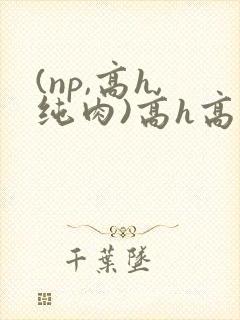 (np,高h,纯肉)高h高辣h