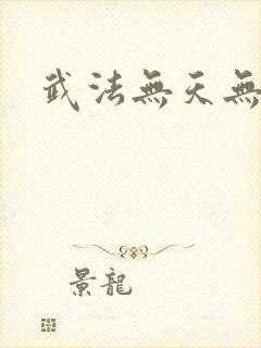 武法无天无弹窗