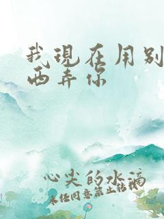 我现在用别的东西弄你