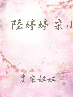 陆婷婷 宋小易