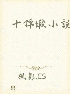 十锦缎小说