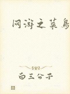 网游之菜鸟