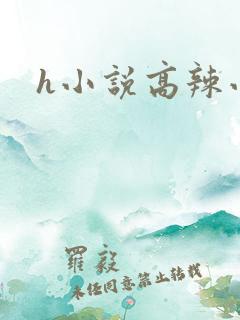 h小说高辣小说