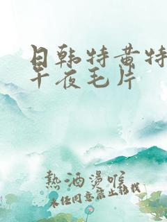 日韩特黄特刺激午夜毛片