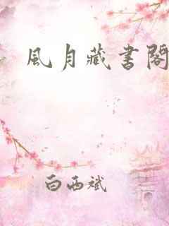 风月藏书阁