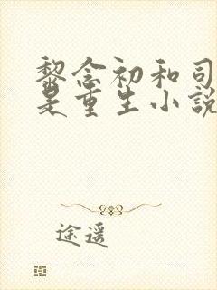 黎念初和司慕城是重生小说