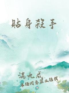贴身杀手