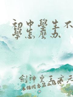初中学生不想上学怎么办