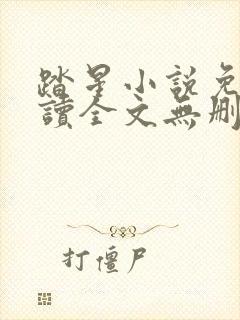 踏星小说免费阅读全文无删减