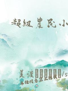 超级农民小说