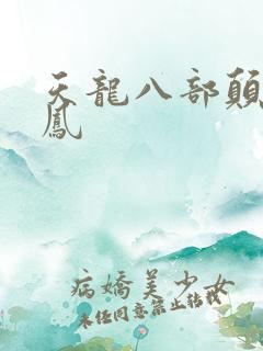 天龙八部颠龙鸾凤