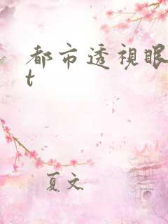 都市透视眼txt