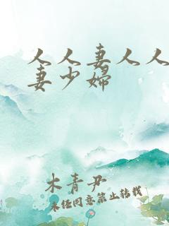 人人妻人人爽人妻少妇