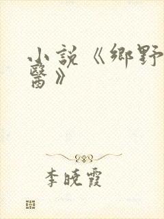 小说《乡野小傻医》