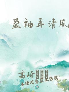 盈袖弄清风
