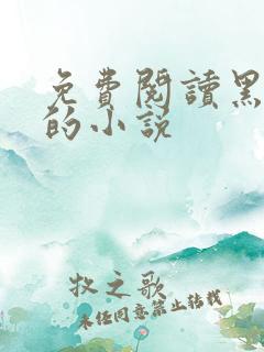 免费阅读黑岩网的小说