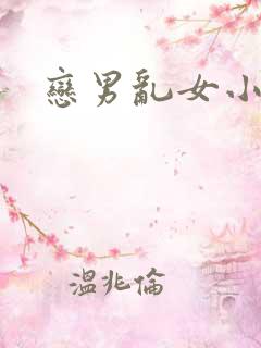 恋男乱女小说
