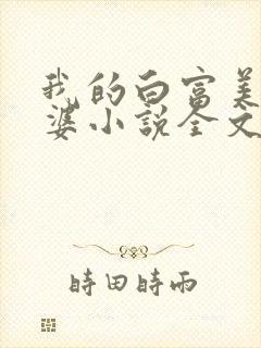 我的白富美的老婆小说全文