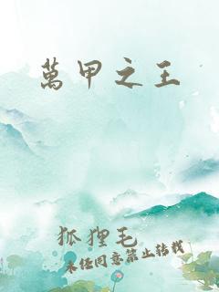 万甲之王