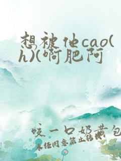 想被他cao(h)(啊肥阿
