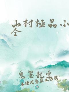 山村极品小神医全