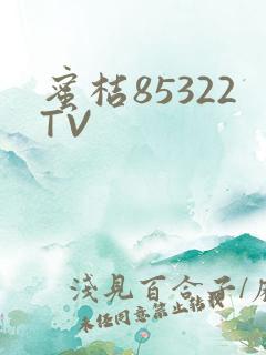 蜜桔85322TV