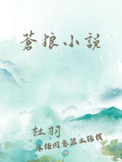 苍狼小说