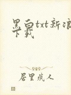 黑白txt新浪下载