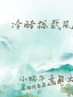 冷酷总裁风流妻