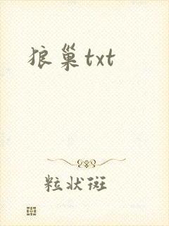 狼巢txt