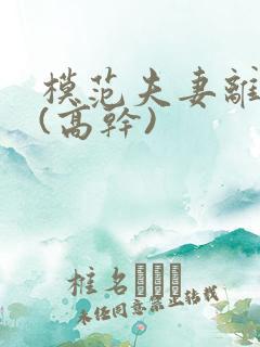 模范夫妻离婚了(高干)