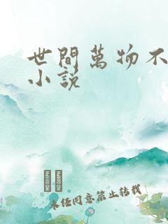 世间万物不及你小说