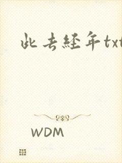 此去经年txt