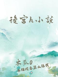 后宫h小说