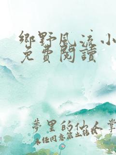 乡野风流小神医免费阅读