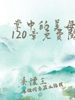 掌中的美母版主120章免费阅读