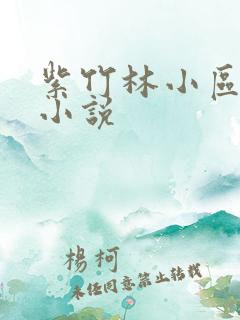 紫竹林小区快递小说