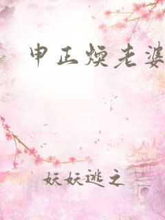 申正焕老婆