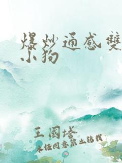 爆炒通感双胞胎小狗