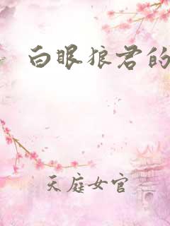 白眼狼君的小说