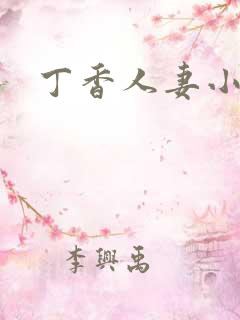丁香人妻小说