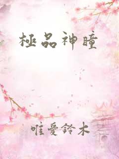 极品神瞳