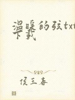 温暖的弦txt下载