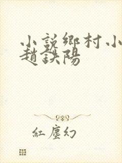小说乡村小神医赵铁阳