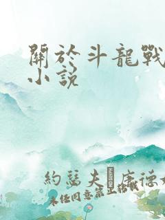 关于斗龙战士的小说
