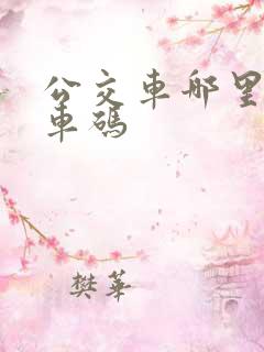 公交车哪里刷乘车码
